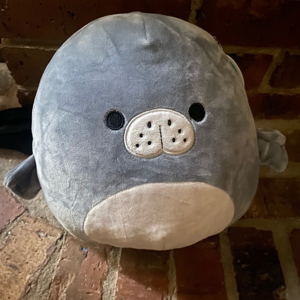 Matt the manatee 8” Squishmallows